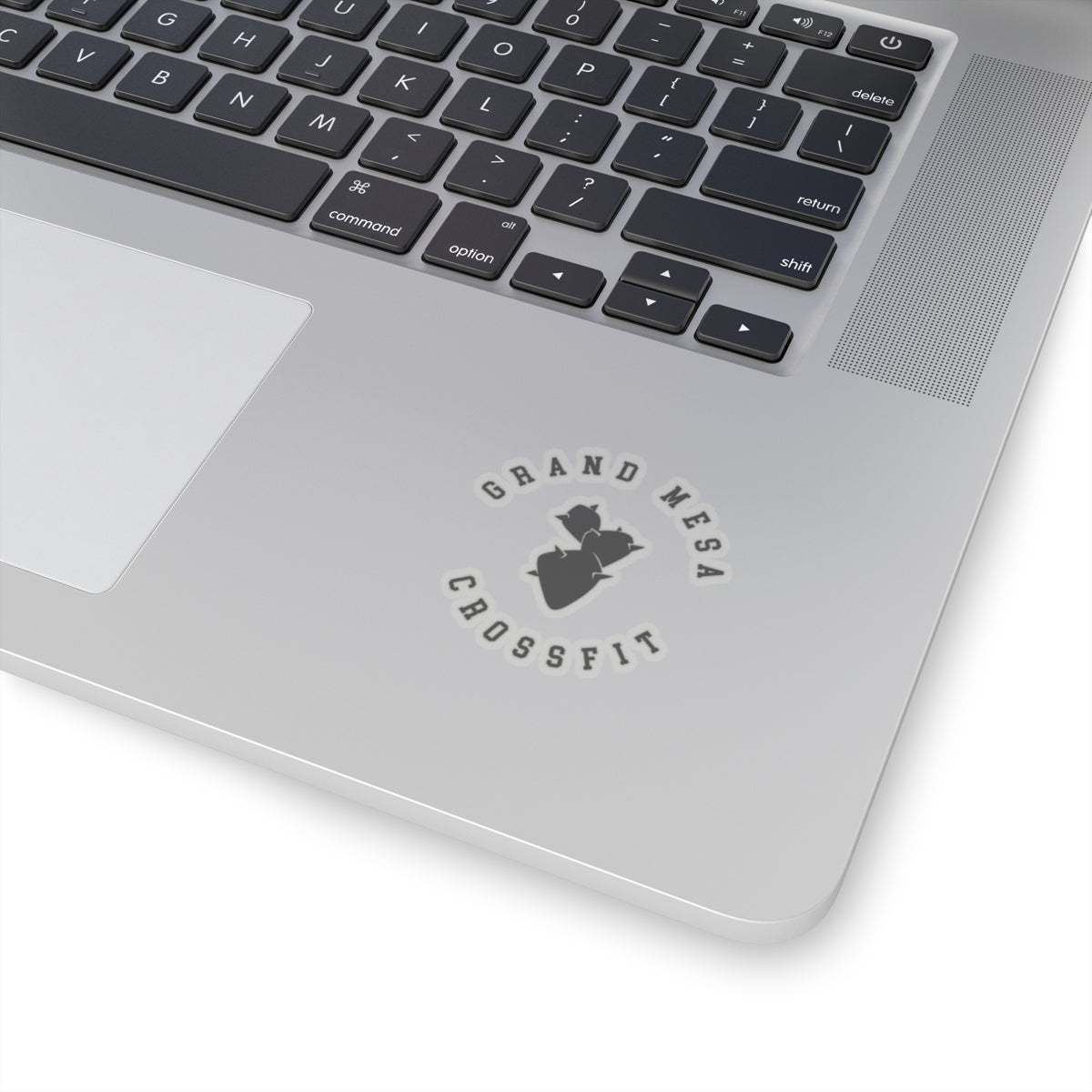 Grand Mesa Cactus Sticker