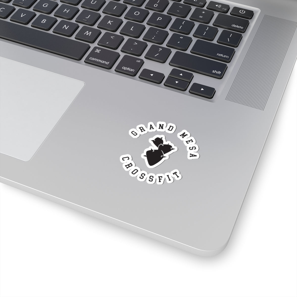 Grand Mesa Cactus Sticker